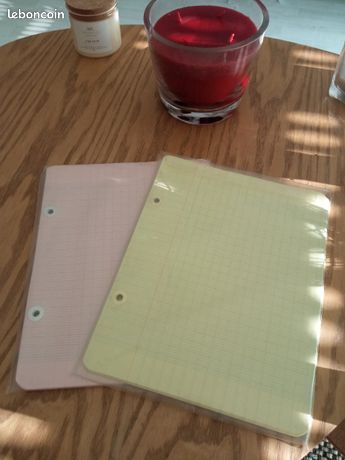 100 feuilles petit classeur