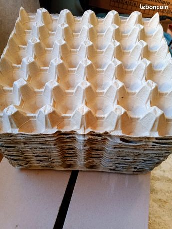 35 plateaux cartons pour 8