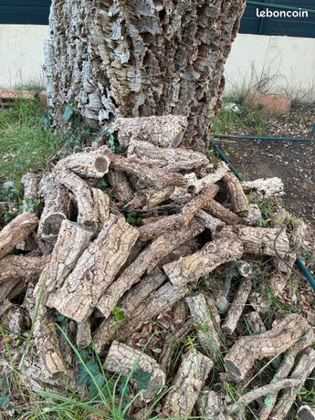 À donner bois de chêne liège
