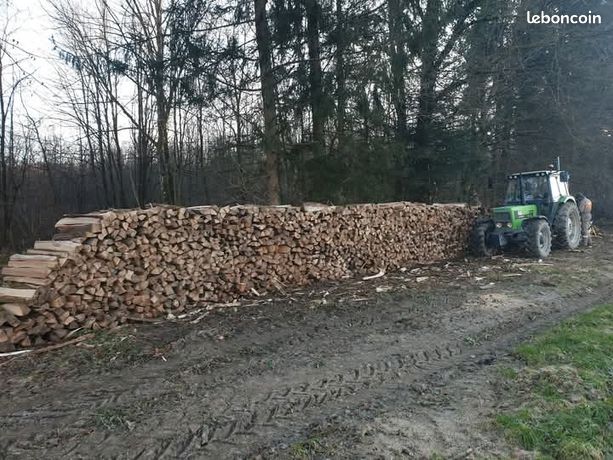 bois sur pied