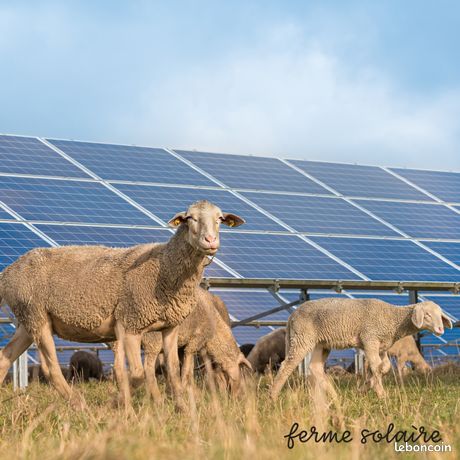 Agrivoltaïsme dans l'Aude, jusqu’à 5 000e / ha / an avec vos terres agricoles