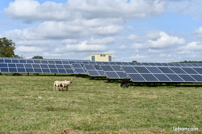 Agrivoltaïsme en Bretagne - Arkolia valorise vos terrains à faible rendement