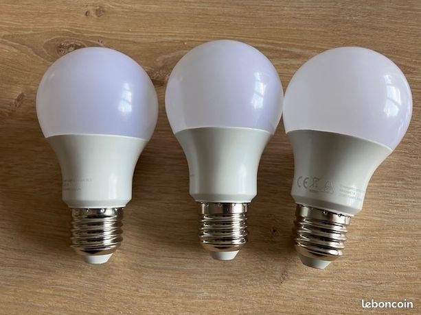 Ampoules LED