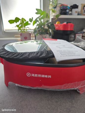 Appareil à fondue chinoise électrique