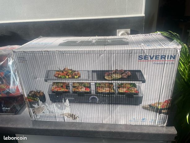 Appareil à raclette pierrade