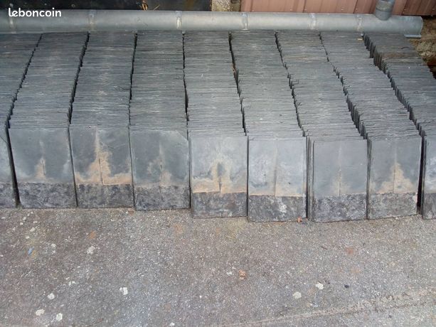Ardoises naturelles 30x20