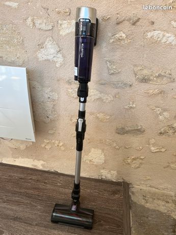 Aspirateur X-Force Flex 9.60