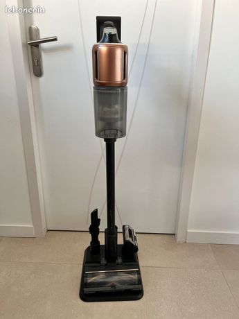 Balais aspirateur