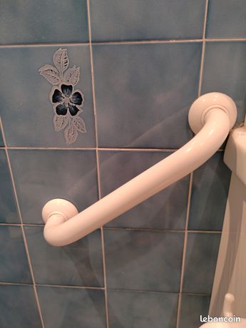 Barre d'appui siege douche