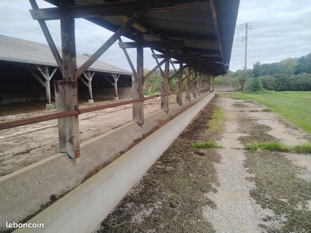 Barres au garrot