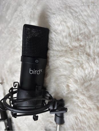 Bird um1