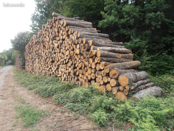 Bois de chauffage chêne/ charme sec en billons de 2.0m livré par camion