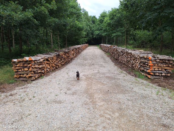 Bois de chauffage (chêne)