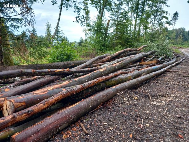 Bois de chauffage
