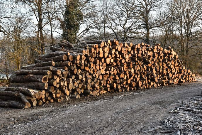 Bois de chauffage
