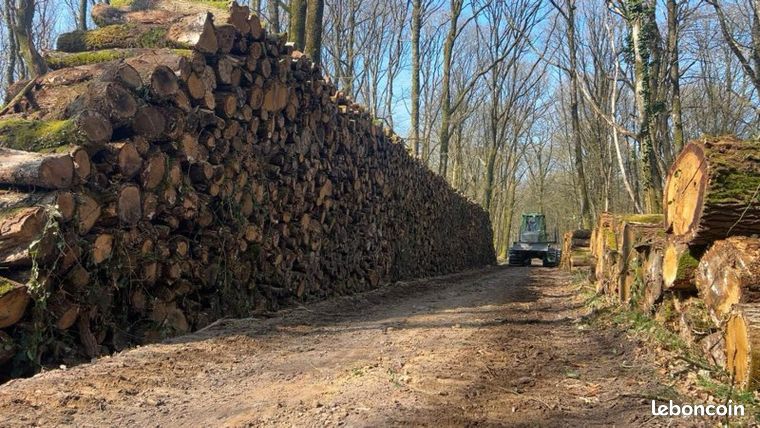 Bois de chauffage