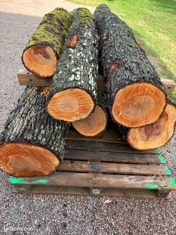 Bois de cormier