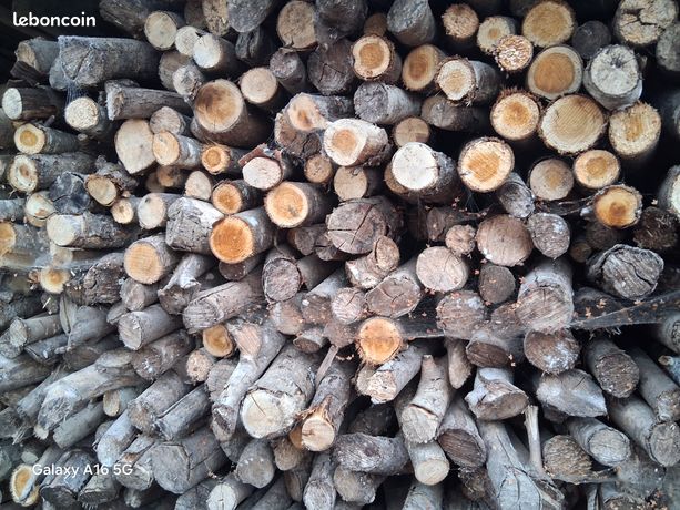 Bois pour allumer