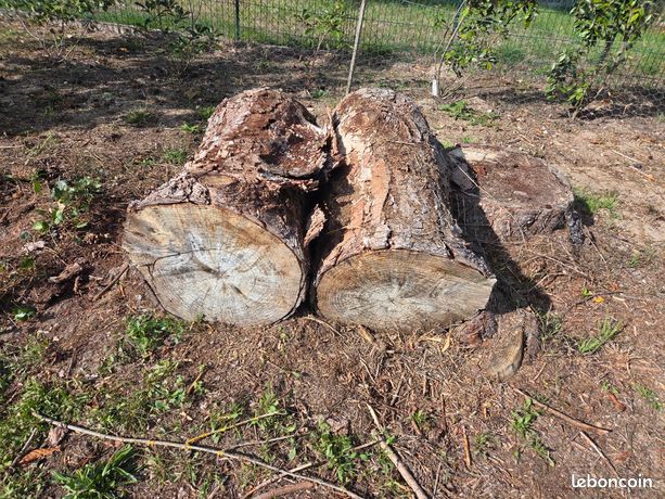 Bois sapin