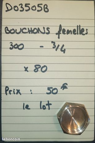 Bouchons femelles 300 - 3/4