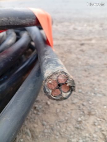Câble électrique