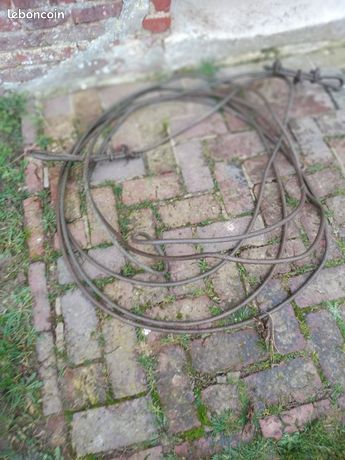 Cable