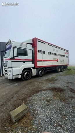 Camion bétaillère