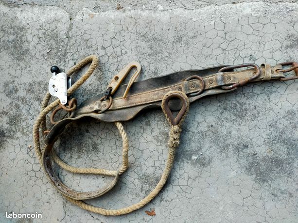Ceinture d élagage