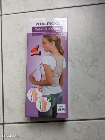 Ceinture dorsale