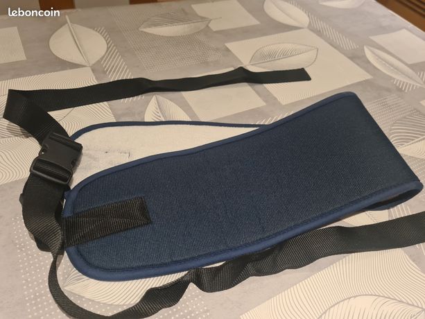 Ceinture ventrale