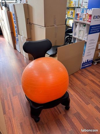 Chaise Ballon Ergonomique