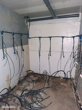 Chambre de forçage endives et éventuellement champignons
