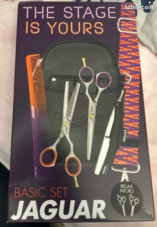 Ciseaux coiffeur professionnel