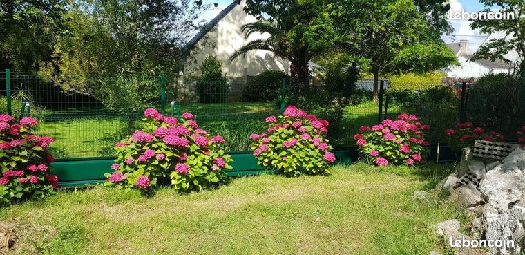 Clôture de jardin