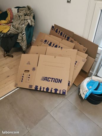 10 cartons