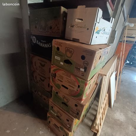 Donne carton banane