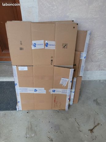 Donne cartons