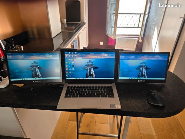 Double écran PC 13,3"