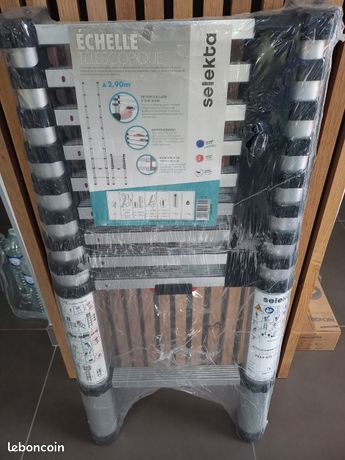 Échelle télescopique 2.90