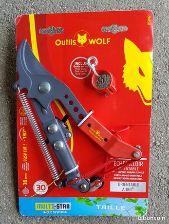 ECHENILLOIR OUTILS WOLF OSVM2 36mm