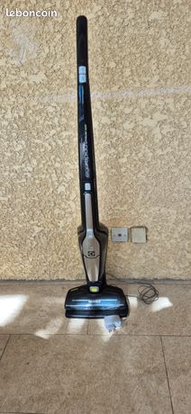 ELECTROLUX Aspirateur sans fil ZB3014G