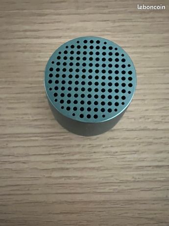 Enceinte leçon mino