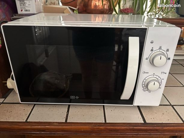 Four Micro ondes