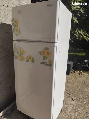 Frigo / freeser