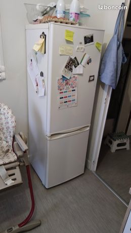 Frigo