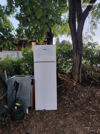 Frigo
