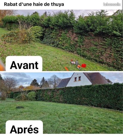 Gardin