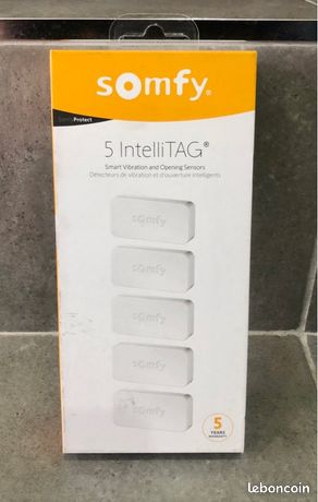 Home Alarm Essential XL + pack 5 IntelliTag Somfy