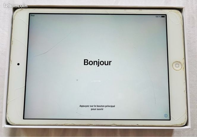 Ipad mini