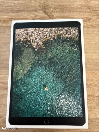 IPad Pro 256GB Wi-Fi + Cellular